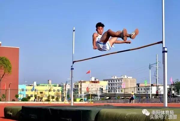 南阳十大热议新闻,南阳体育新闻