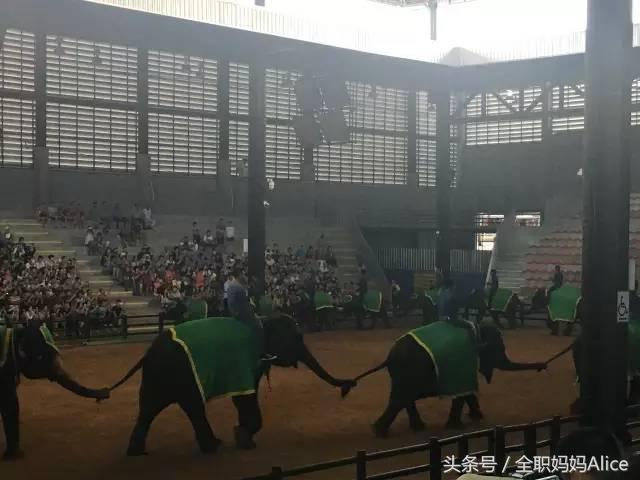 带上宝宝去泰国旅游,泰国旅游带宝贝去哪里