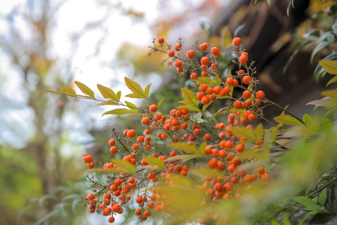 冬日和闺蜜出游,3天2夜的温泉之旅