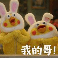 这两只在日本爆火的贱鹦鹉，一定能成为表情包界最火的新网红！