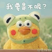 这两只在日本爆火的贱鹦鹉，一定能成为表情包界最火的新网红！