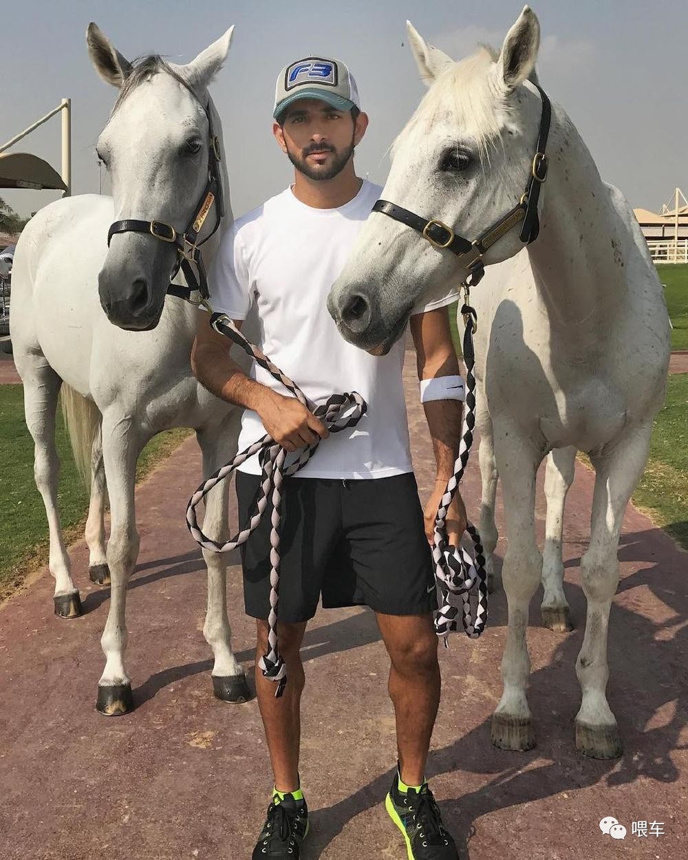 迪拜王子借给成龙车 (当迪拜王子见到成龙)