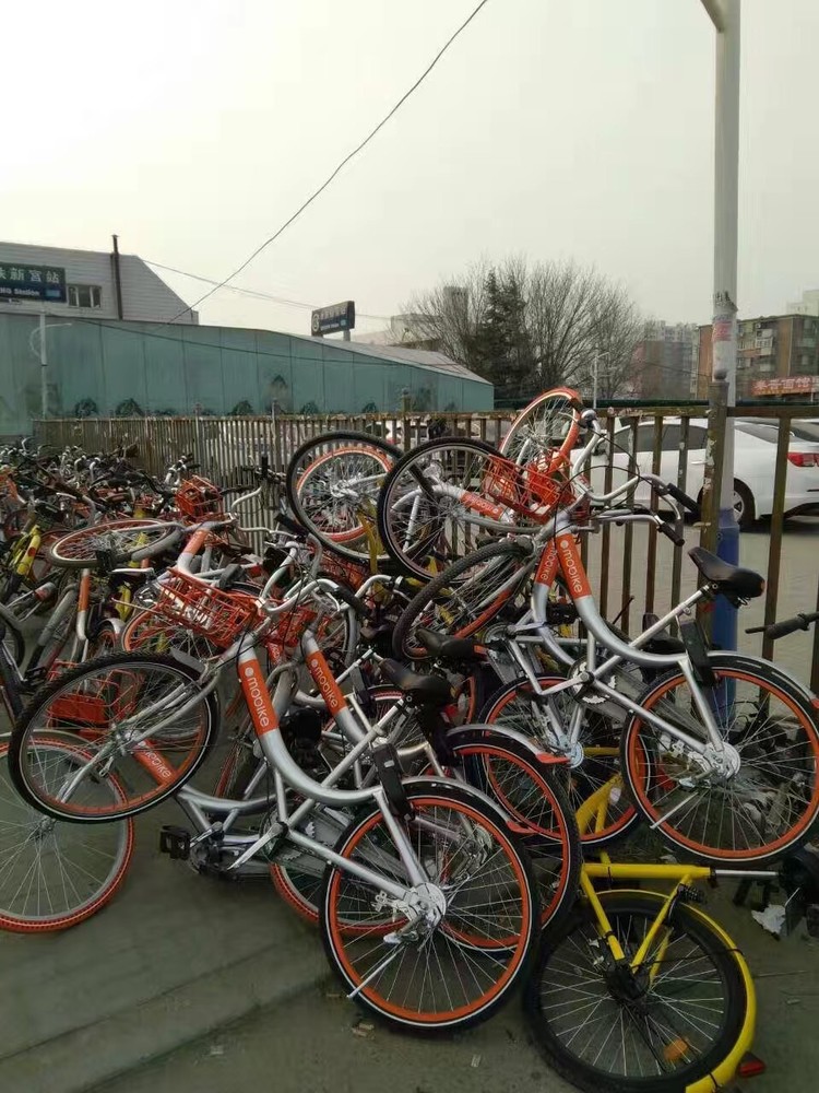 共享单车谁是老大？看谁占道多啊