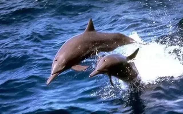 广西自驾游路线推荐2天,广西自驾游路线推荐3-4天自由行