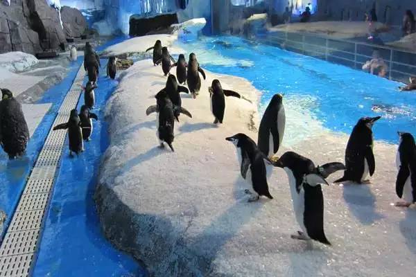 32个好消息,今天上海10大新闻