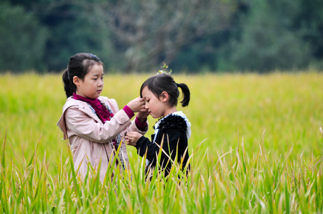 全球摄影网第十二届手机摄影大赛,2018年手机摄影大赛获奖作品讲解