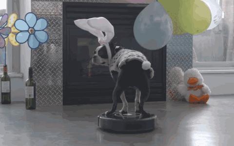 你是真精致还是穷讲究，就看你舍不舍得给自己买这13件东西了