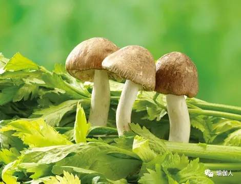 产后瘦臀部最快最有效,产后瘦臀视频