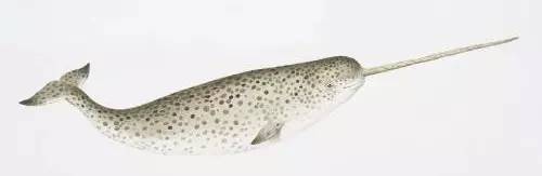 聂鲁达说，没有玩具我就没法活！那么，来看看大诗人怎么活的吧