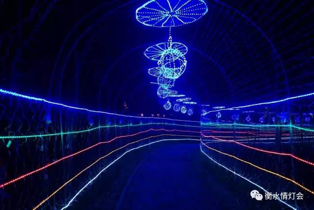 衡水电视台晚会,衡水电视台春节联欢晚会2024年