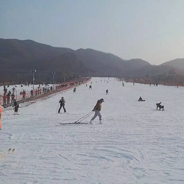 海淀区玩雪,适合寒假出游玩雪的地方