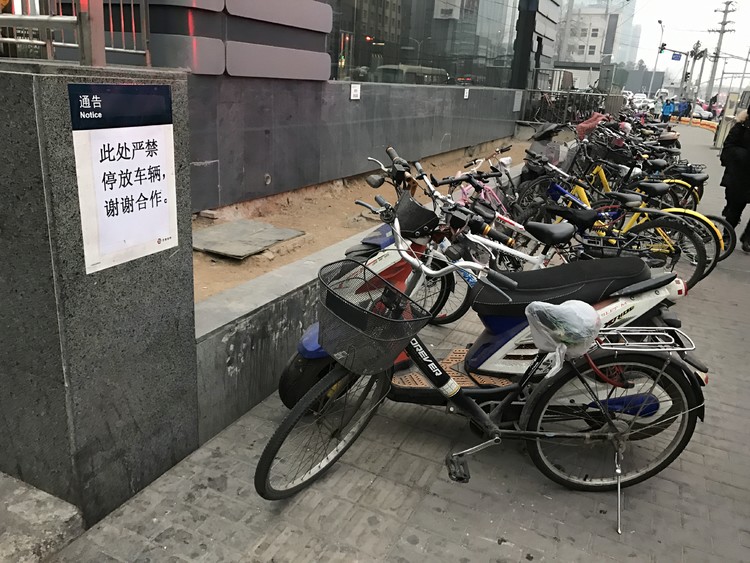 共享单车谁是老大？看谁占道多啊