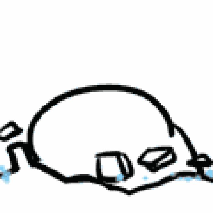 一年级邵明明现状,邵明明收官宴