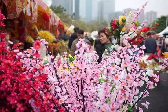 深圳春节花市主会场,逛深圳迎春花市