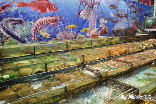 年货批发市场一条街,附近年货批发最大市场