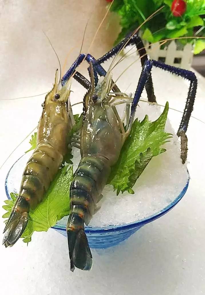 「订年夜饭赠波士顿龙虾」2017这么吃年夜饭最霸气！从没想过一顿自助，竟然吃几口就回本了……谁也别拦着我！今年就要在这儿吃！