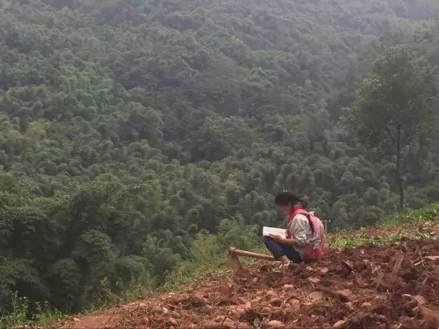 全球摄影网第十二届手机摄影大赛,2018年手机摄影大赛获奖作品讲解