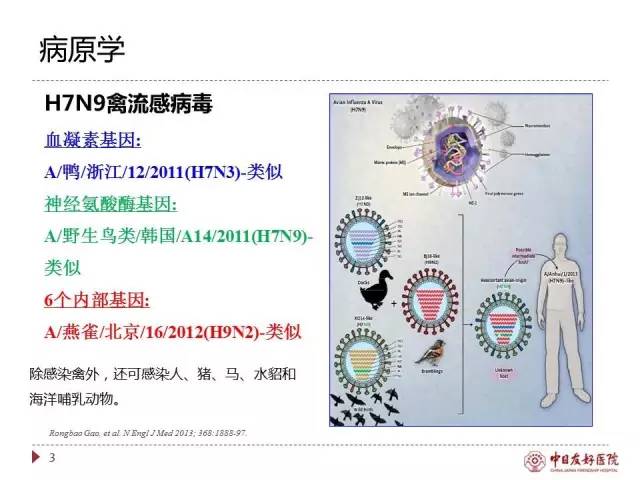 「规范与指南」人感染H7N9禽流感诊疗方案（2017年第一版）