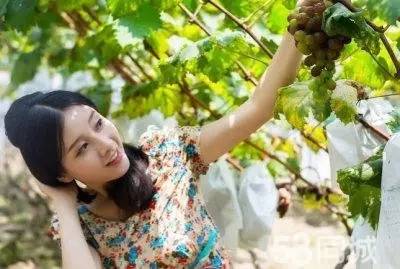 南宁旅游景点吃喝玩乐,南宁旅游游山玩水景点推荐