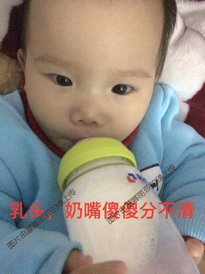 利其尔透透奶瓶——宝宝戒奶必备神器