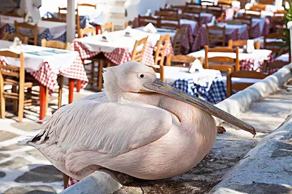 有一种幸福叫有我在作文,有一种幸福叫我在宁强完整版
