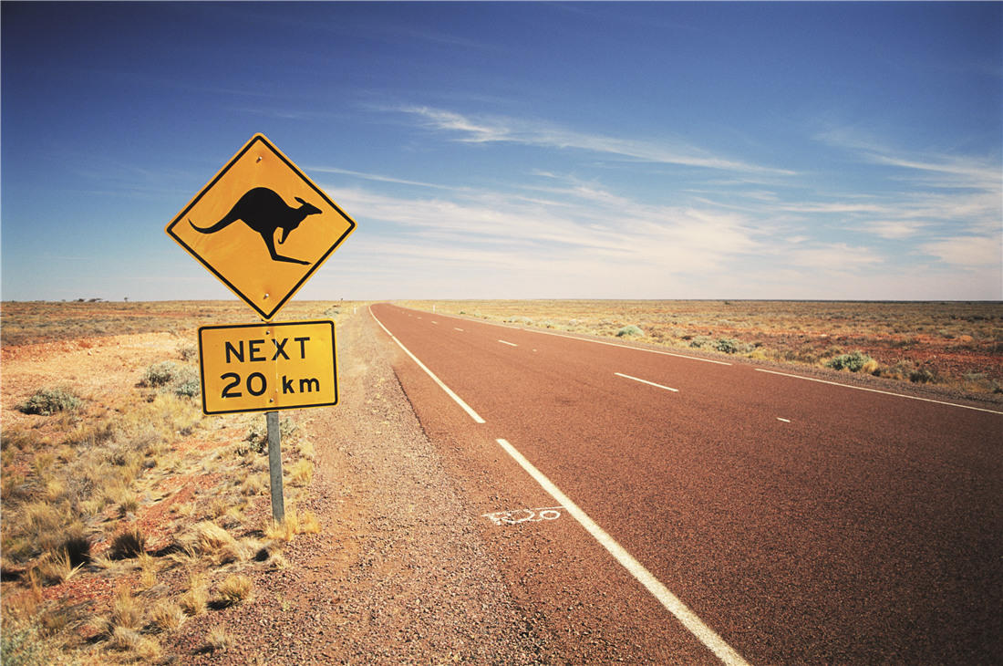 国外租车最实惠,出国租车需要什么