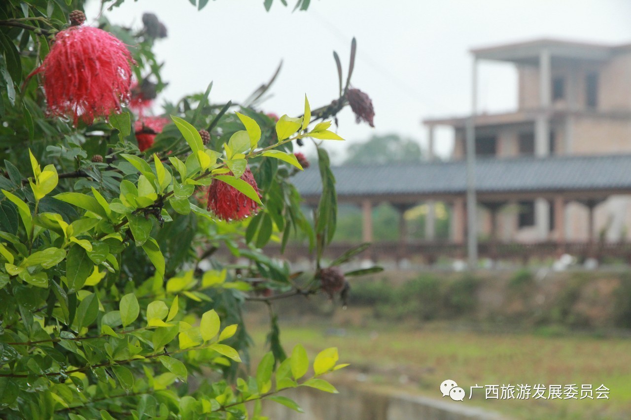 温暖人心的中国故事,感人的中国小故事