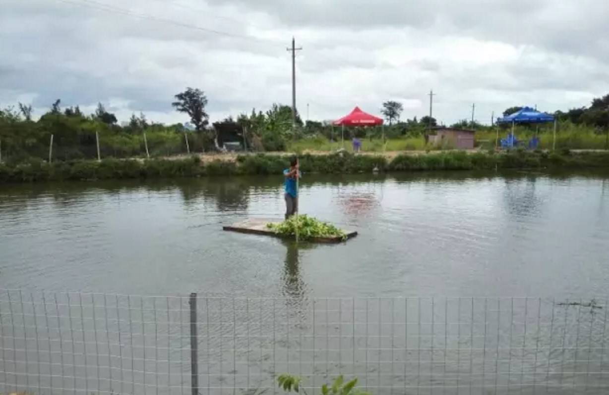 南宁周边农家乐景点推荐,南宁良庆区户外亲子农家乐