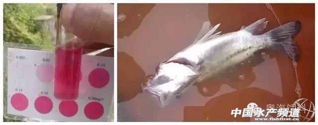 怎么降亚硝酸盐用物理方法,降亚硝酸盐的做法