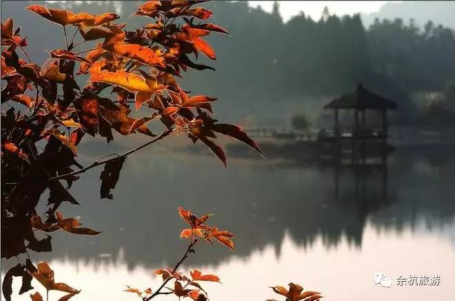 特大好消息！余杭人去这个AAAA*级A**景区，门票全部免！免！免！
