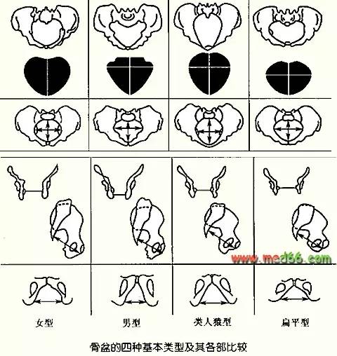 「科普」剖腹产的女明星那么多，为啥瘦小的“教主夫人”（杨颖）却能顺产？