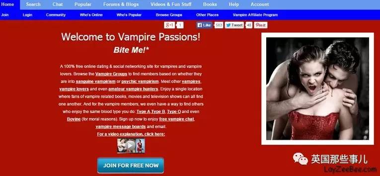 美国婚恋相亲网站,美国的婚恋交友网站