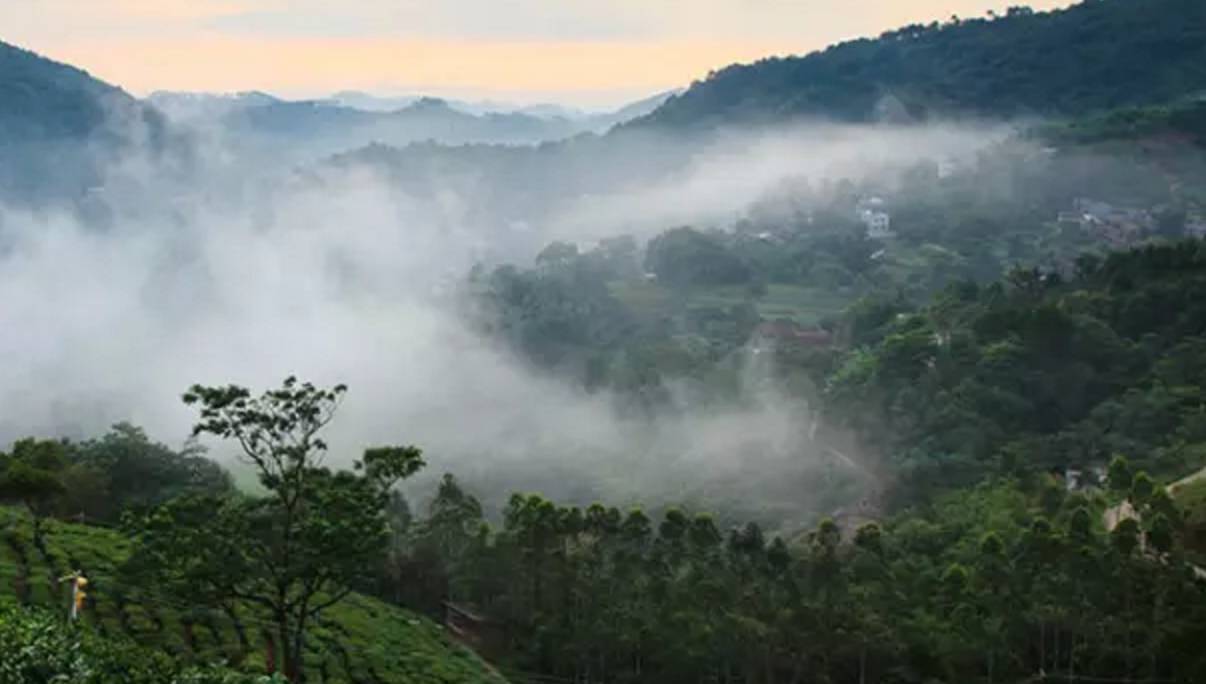 南宁周边农家乐景点推荐,南宁良庆区户外亲子农家乐