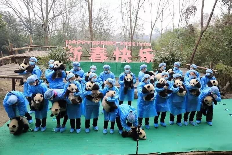 川南城际内自泸段通车时间,川南城际铁路最新消息泸州