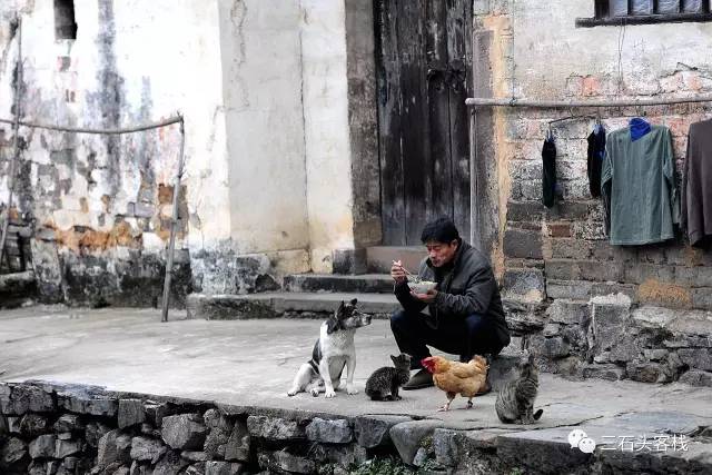 碎碎念2020,2017鸡年纪念日历