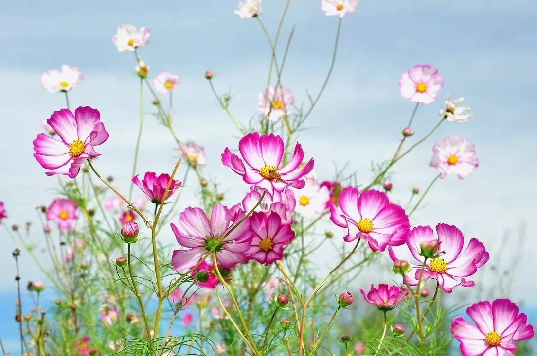 三千多平方公里的家，名字叫石柱