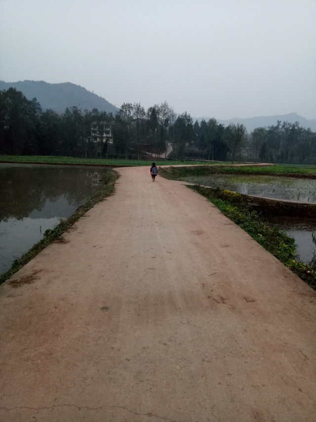 全球摄影网第十二届手机摄影大赛,2018年手机摄影大赛获奖作品讲解