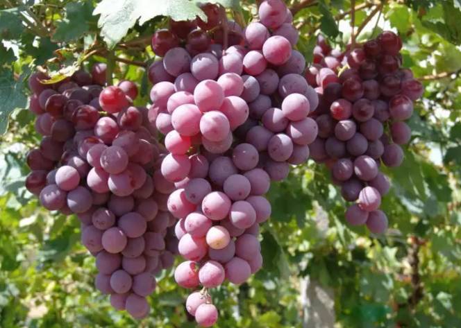 南宁旅游景点吃喝玩乐,南宁旅游游山玩水景点推荐