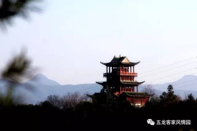 五一五龙客家风情园,五龙客家风情园免费游