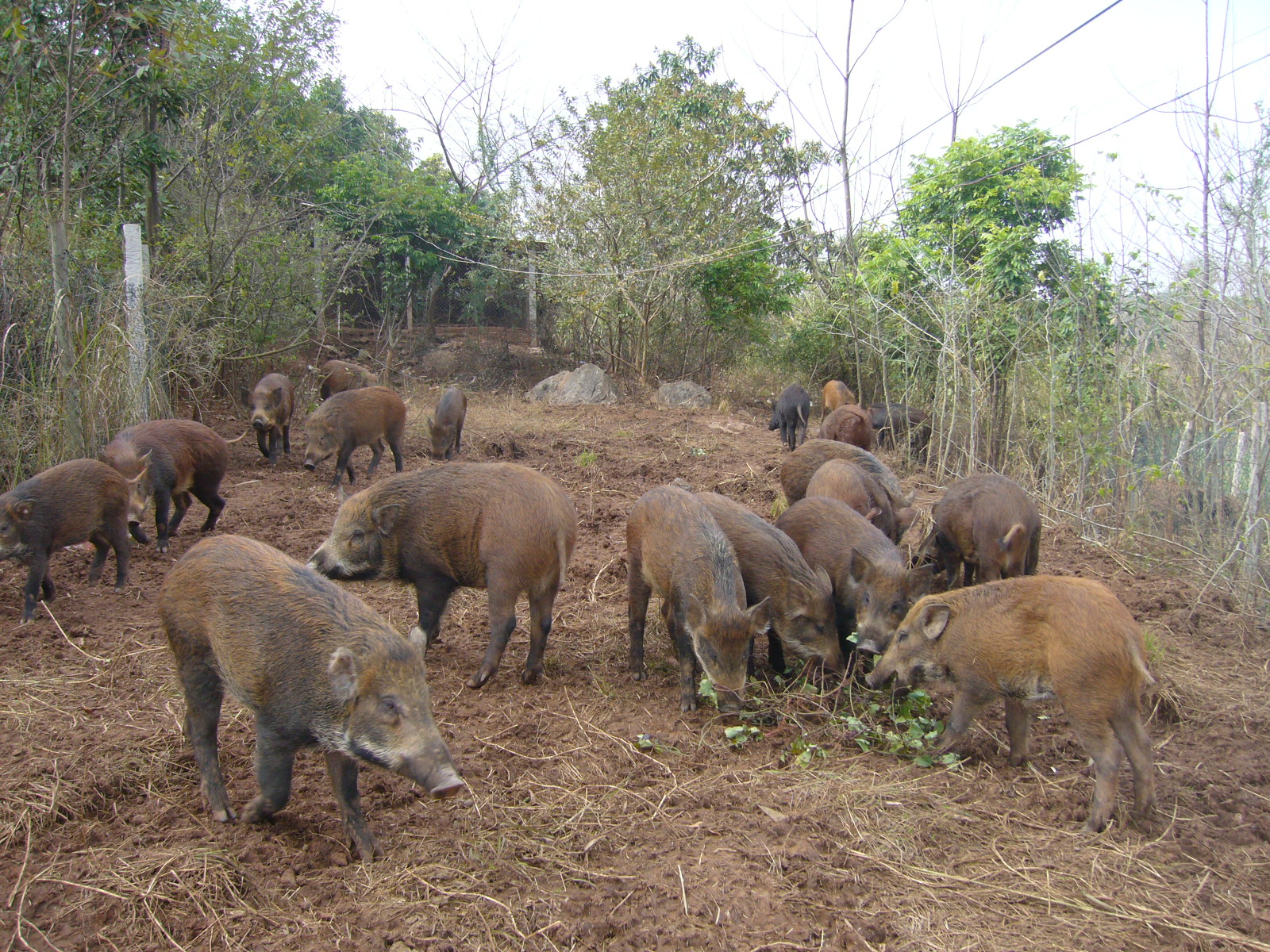 南宁附近农家乐排行榜,南宁十全十美农家乐