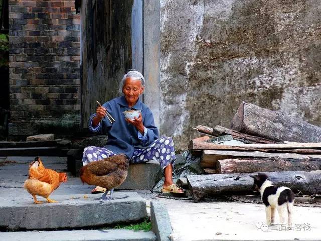 碎碎念2020,2017鸡年纪念日历