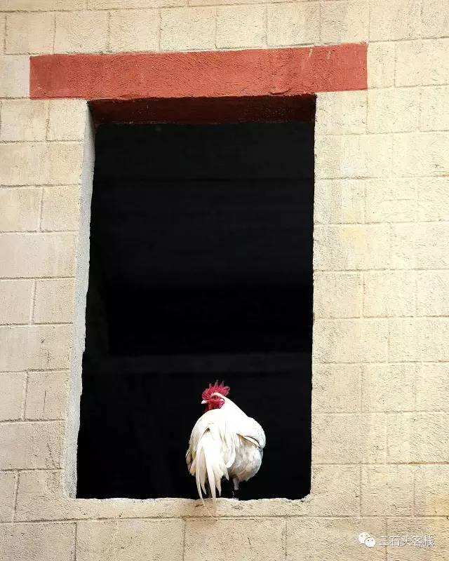 碎碎念2020,2017鸡年纪念日历