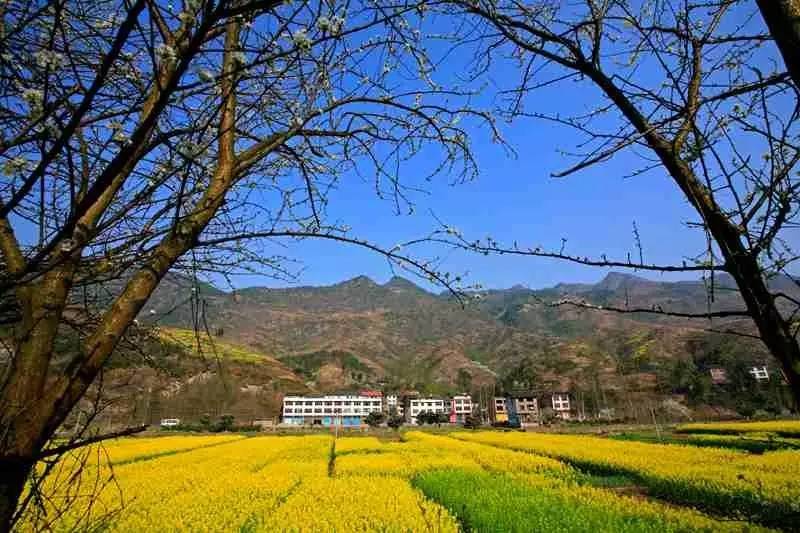 三千多平方公里的家，名字叫石柱