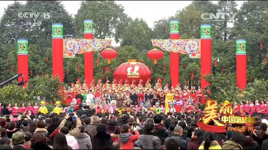 美丽资阳央视报道,美丽舞台央视