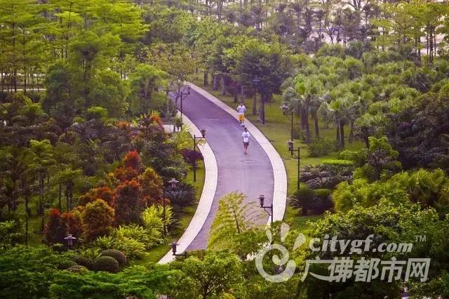 佛山体育场馆,佛山室内体育免费