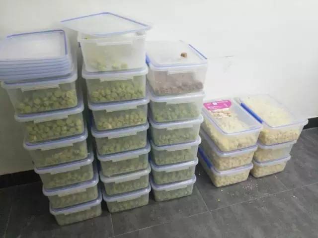 黑作坊曲奇视频,红遍全网的曲奇