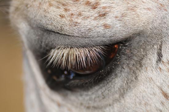 腾龙17-70mm镜头上市,腾龙sp70300价格