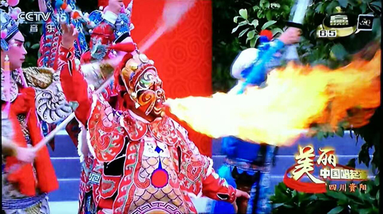 美丽资阳央视报道,美丽舞台央视