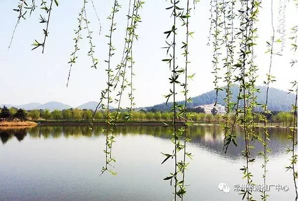 常州田园风景,常州最美乡村旅游景点