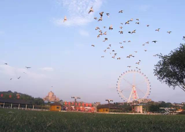 赣州宝葫芦农庄最新消息,宝葫芦农庄景点